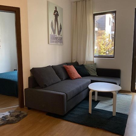 2 Bedroom Apartment Next To Gondola Ski Lift Μπάνσκο Εξωτερικό φωτογραφία